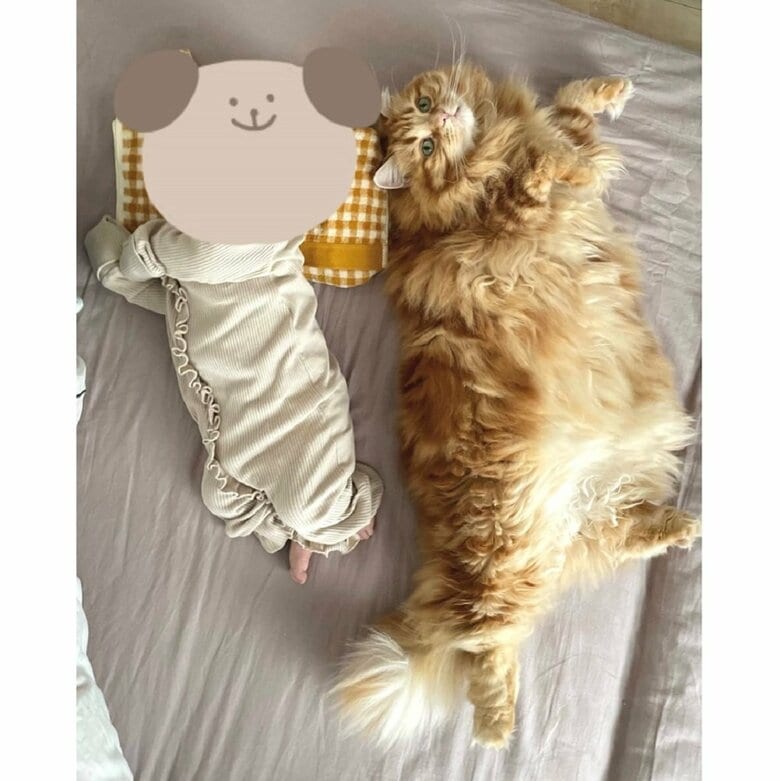 娘さんとちくわちゃん