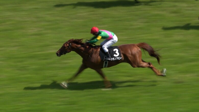 矢車賞を制したタガノアビー