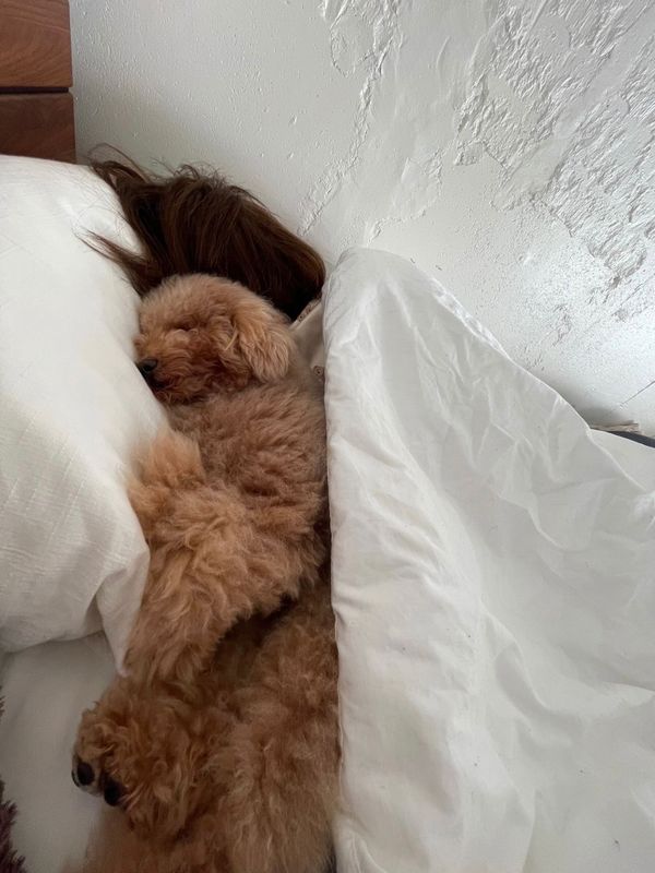 ママにピッタリとくっついて寝ている（提供：ピン太郎ママさん）