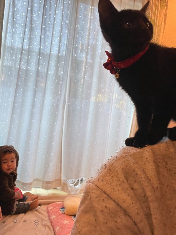 提供：ゴンゾウR4さん