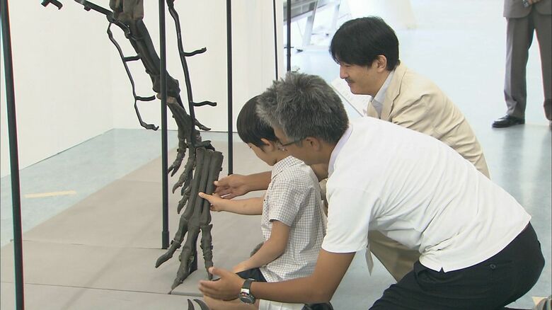 全身骨格の組み立てにご挑戦