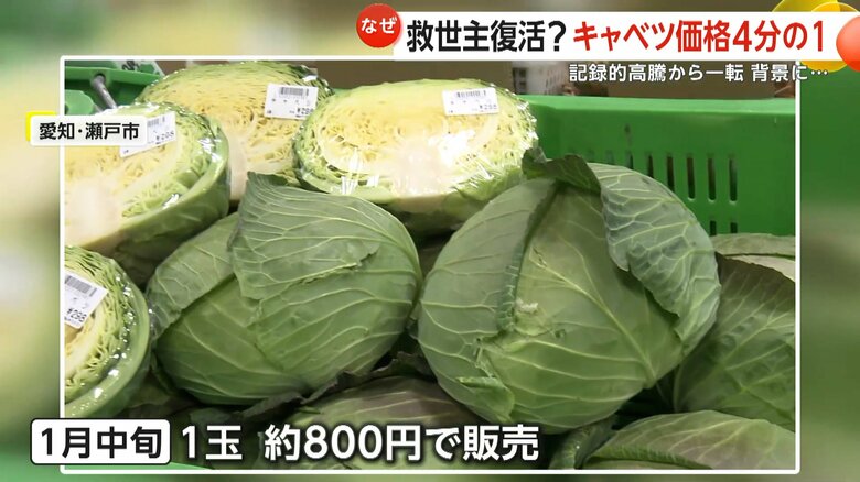1月中旬に1玉800円でキャベツを販売していた愛知・瀬戸市のスーパー「新鮮市場いせや」