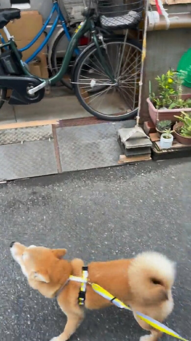 最後までおっちゃんへ大好きを伝えていた