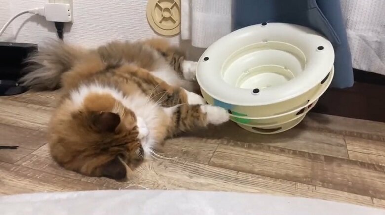 ひとり遊びをしていることも…