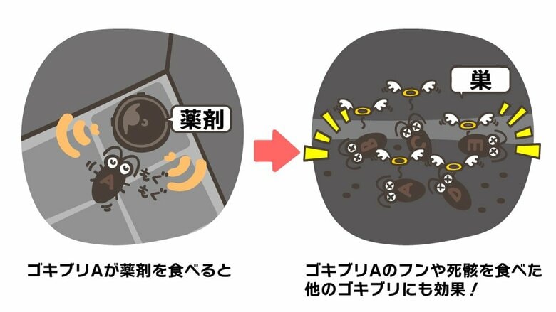 ブラックキャップの仕組み