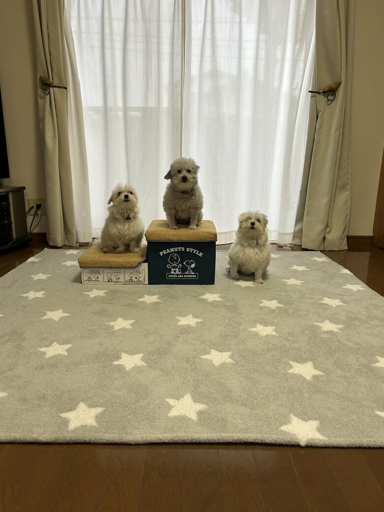 （画像：飼い主さん提供）