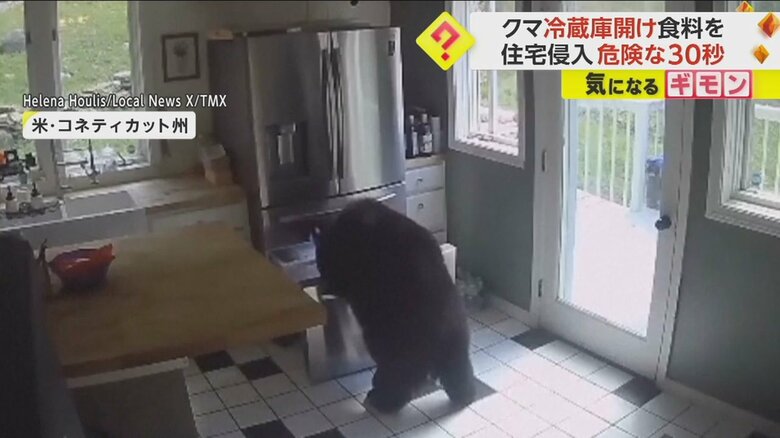 クマが冷蔵庫を器用に開け、食べ物をくわえる様子⑥