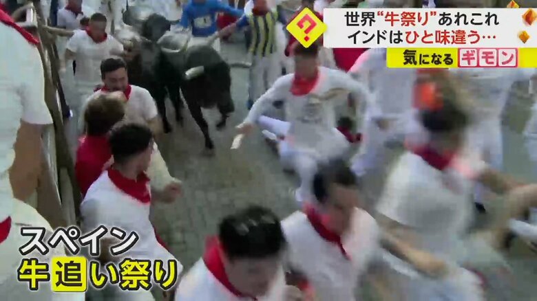 スペインの牛追い祭りで走っている人たちと牛