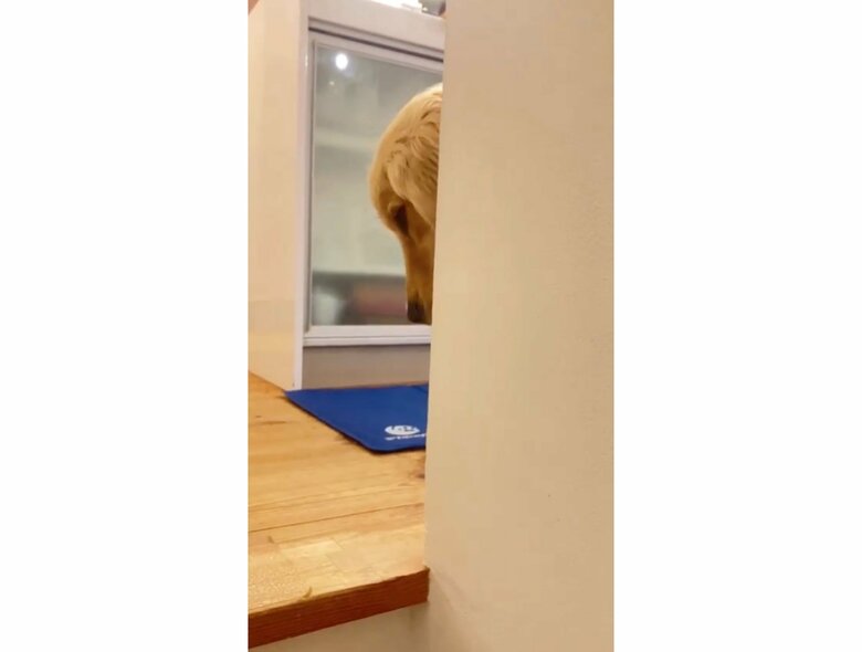 提供：エマさん