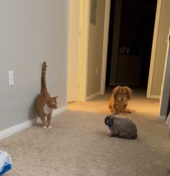 またも厳しい入室管理（提供：和泉ユタカさん）