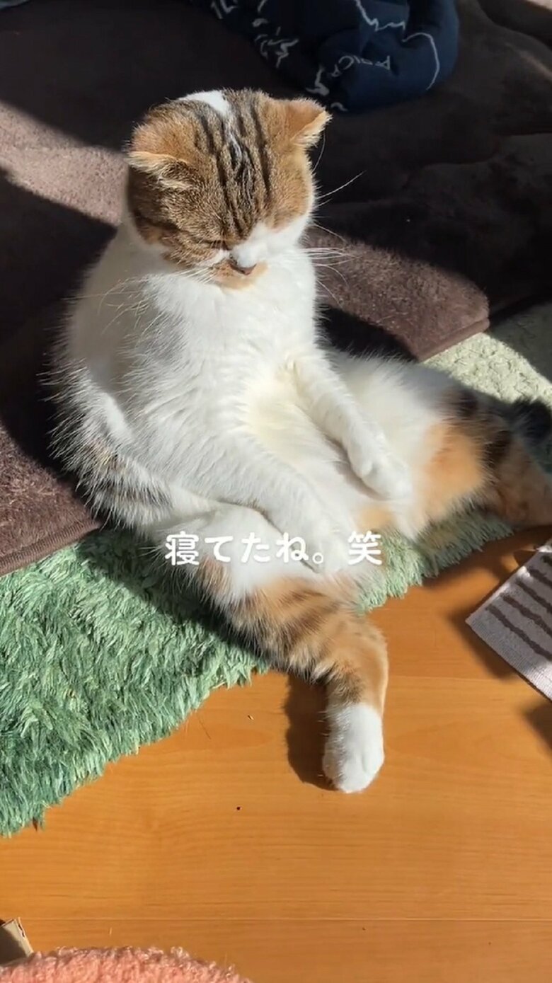 佐野さんに気づいたのか？