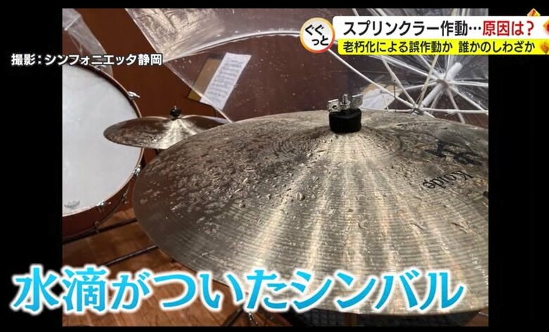 （シンフォニエッタ静岡撮影）