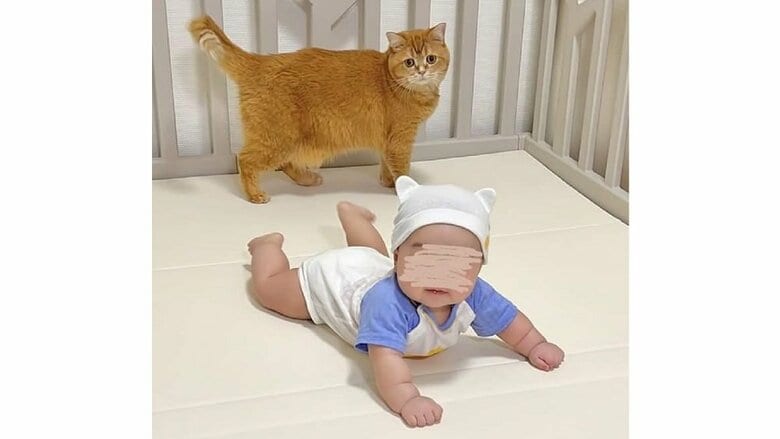 こまるくんは普段から息子さんのそばにいるという