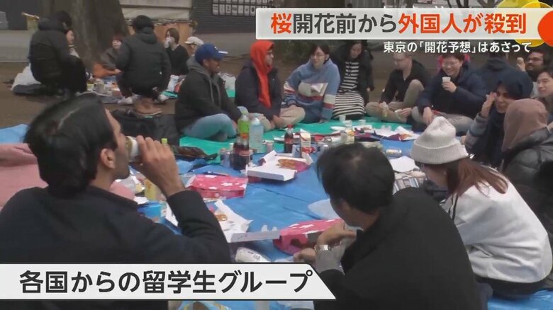外国人のグループも多数花見を楽しんでいた
