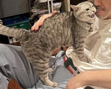 桑原さんに甘えるヌガチン