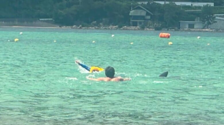 男性が助けようとイルカに向かって近づく様子も（画像：ビデオポスト）