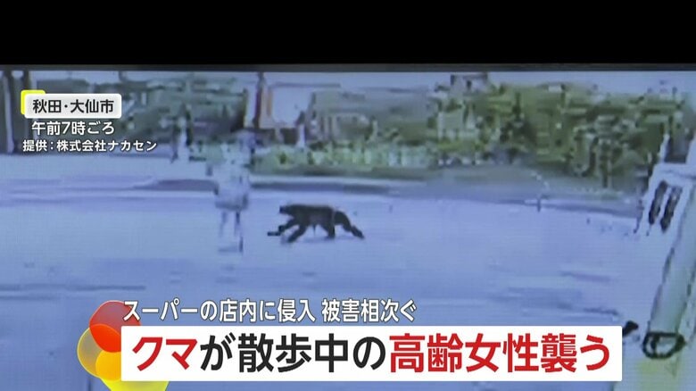 防犯カメラが捉えた、クマが高齢女性に襲いかかる瞬間④