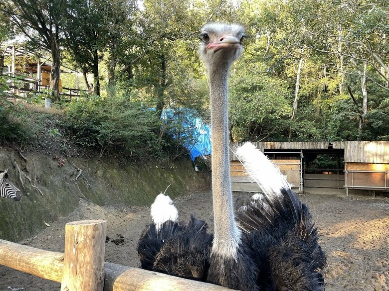 提供：長崎バイオパーク