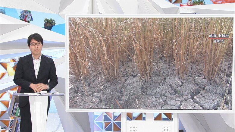 木村雅洋 気象予報士