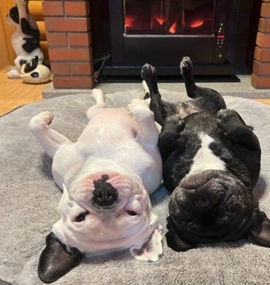 提供：天使の笑顔さん