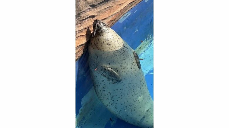 別角度から（提供：名古屋市東山動植物園）