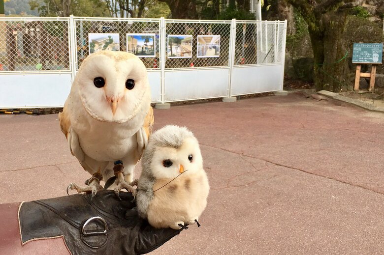 ぬいぐるみとアイちゃん
