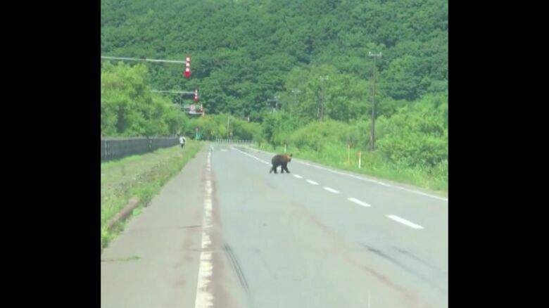 撮影：hayataku＠hayataku2000