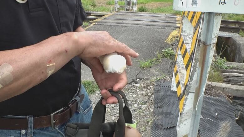 イノシシに襲われた男性（77）