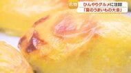 山形屋「夏のうまいもの大会」開幕　鹿児島に全国700品、冷たいスイーツと大判唐揚げが話題