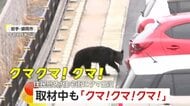 取材班の目の前に「クマ！クマ！クマ！」住宅街や線路沿いを徘徊するクマの目撃通報相次ぐ…近くに住民もいるアパート駐車場をウロウロ　岩手・盛岡市