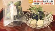 「クラゲを食べる食文化残したい」　JR羽前大山駅を起点に巡る100年老舗の在来野菜漬物と伝統蔵元の地酒・世界で唯一のクラゲ料理【山形発】