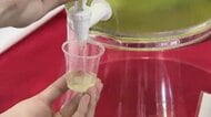 40種類ブレンドの特別な八女茶が振る舞われる　若手生産者が八女茶の販売会「今年は甘みが強い」　福岡県庁