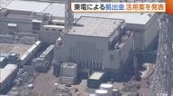 東京電力による1000億円規模の拠出金　新潟県の活用案“電気代補助”に柏崎市長が反発「はい、そうですかとは言えない」