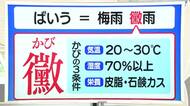 【天気／山形】黴雨（ばいう）の黴はカビ＆9日の詳しい天気　中村友祐気象予報士の天気予報(2)