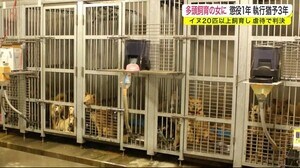 イヌ20匹以上飼育し虐待の女に懲役1年 執行猶予3年の判決<岩手・宮古市>
