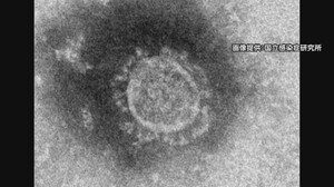 【速報】新潟県で新たに7人の感染確認 新型コロナウイルス 累計838人に