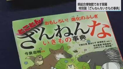 南九州初開催！「ざんねんないきもの事典」特別展が県総合博物館で開幕　親子で笑える展示約170点が集結