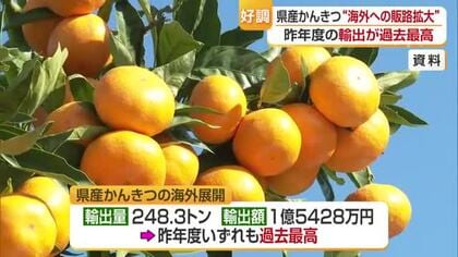 愛媛産の柑きつ　昨年度の輸出量・金額ともに過去最高に　要因は台湾やヨーロッパ対象のＰＲ【愛媛】
