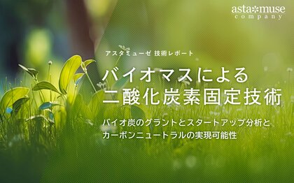 バイオマスによる二酸化炭素固定技術:バイオ炭のグラントとスタートアップ分析とカーボンニュートラルの実現可能性