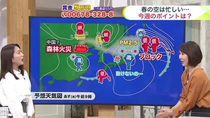 【菅井さんの天気予報 24日(火)】札幌もスギ花粉が飛び始め…春のアレルギーシーズン！PM2.5・衣替えによるダニやカビにも注意を
