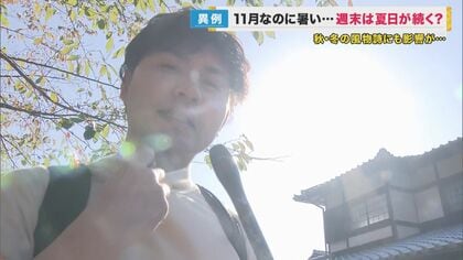 11月なのに異例の暑さ　紅葉シーズンにも遅れ？12月に入ってようやく見頃になる可能性も