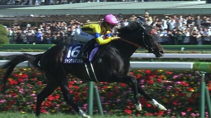 【NHKマイルカップ・GⅠ】 混戦模様の3歳マイル王決定戦　トップマイラーの座を狙うスピード自慢が集結