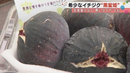 「お金にならんしやめてしまえ」と言われ20年…糖度25度「黒いダイヤ」を生んだ石川の農家の執念
