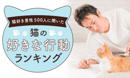 【全国の猫好き男性300人に聞いた】猫の好きな行動ランキング!