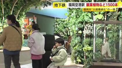 “緑のスポット”が地下鉄福岡空港駅に　約1500本の観葉植物などがお出迎え　大規模緑化プロジェクトの一環　3月には博多駅も