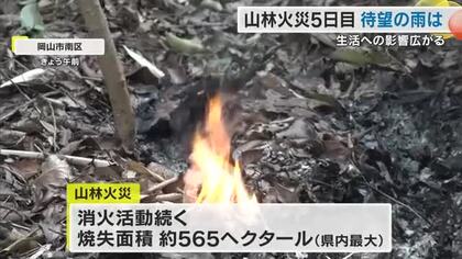 岡山市の山林火災５日目　消火活動難航で雨予報に期待　コンビニも休業…住民生活に影響広がる【岡山】