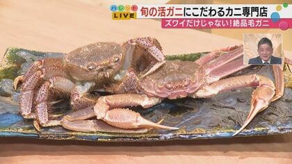 生きたまま目の前でさばく！金沢・にし茶屋街「かにじぇんぬ」の能登毛ガニが別格すぎた