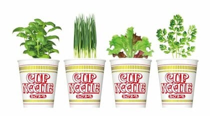 “謎土”を日清食品が発売!?水を与えるとパクチーがニョキニョキ…カップヌードル容器で育てる「野菜栽培セット」が楽しそう