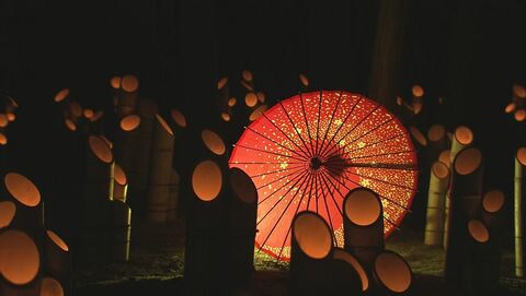 幻想的！竹筒の中でゆらめく灯り「安曇野神竹灯」　1万本の竹灯ろうを灯すイベントが長野県安曇野市の穂高神社で始まる