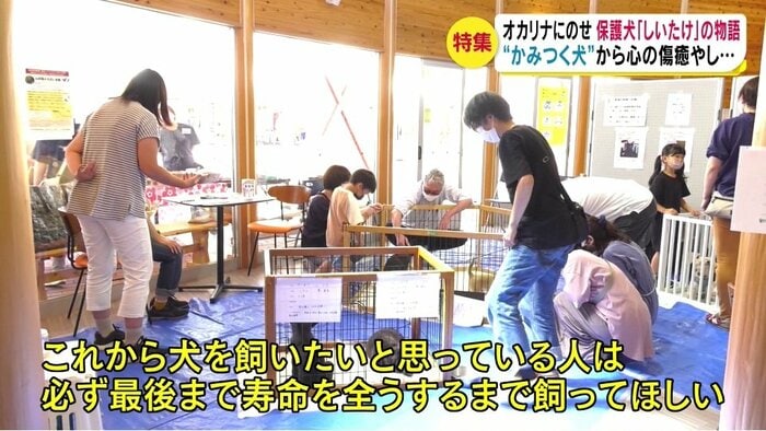 話・ドッグリライフ群馬・新井礼子代表(画像・譲渡会)